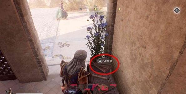 《刺客信条：幻景》圆顶之乐谜团在哪里-第4张-单机攻略-GASK