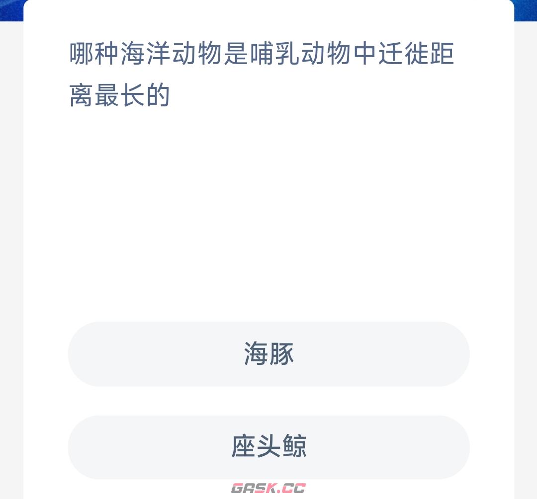 哪种海洋动物是哺乳动物中迁徙距离最长的-第2张-手游攻略-GASK