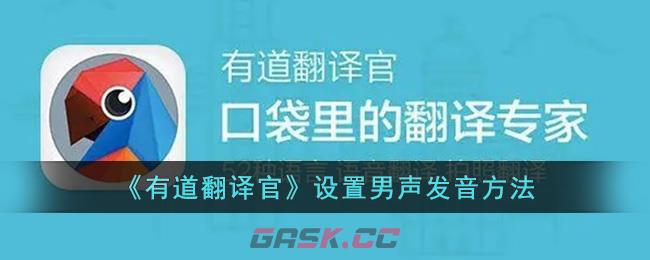 《有道翻译官》设置男声发音方法-第1张-手游攻略-GASK