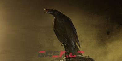 《仁王2》枭雄之铠获得方法介绍-第1张-单机攻略-GASK