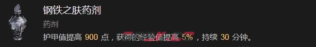 《暗黑破坏神4》钢铁之肤药剂有什么效果-第2张-单机攻略-GASK
