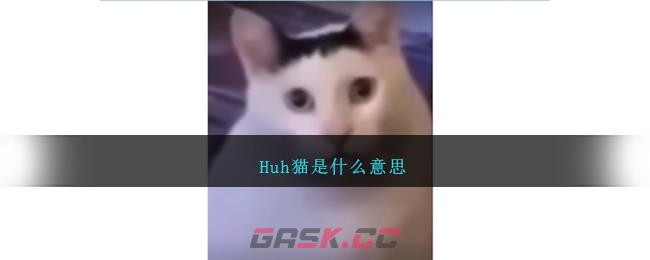 Huh猫是什么意思-第1张-手游攻略-GASK