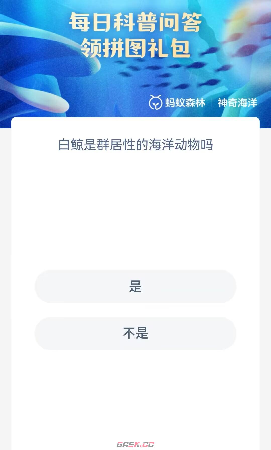 白鲸是群居性的海洋动物吗-第2张-手游攻略-GASK