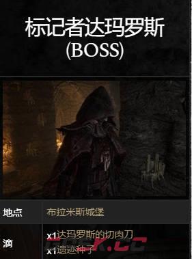 《堕落之主》BOSS标记者达玛罗斯怎么打-第1张-单机攻略-GASK