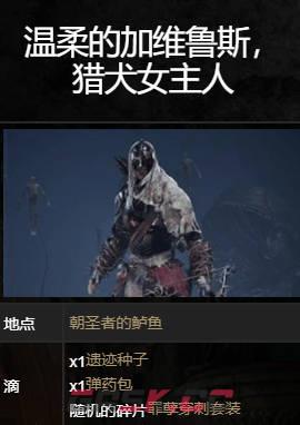 《堕落之主》BOSS加维鲁斯怎么打-第1张-单机攻略-GASK