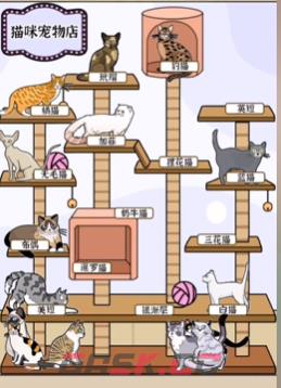 《爆梗找茬王》猫爬架通关攻略-第3张-手游攻略-GASK