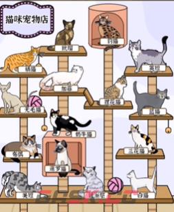 《爆梗找茬王》猫爬架通关攻略-第4张-手游攻略-GASK