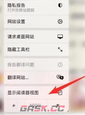 《safari浏览器》阅读模式设置方法-第3张-手游攻略-GASK