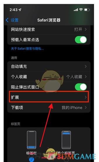 《safari浏览器》拓展设置方法-第3张-手游攻略-GASK