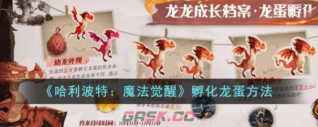 《哈利波特：魔法觉醒》孵化龙蛋方法-第1张-手游攻略-GASK