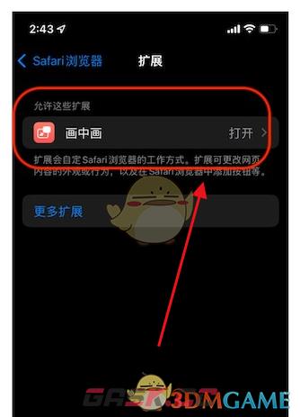 《safari浏览器》拓展设置方法-第4张-手游攻略-GASK