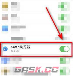 《safari浏览器》尚未接入互联网解决办法-第6张-手游攻略-GASK