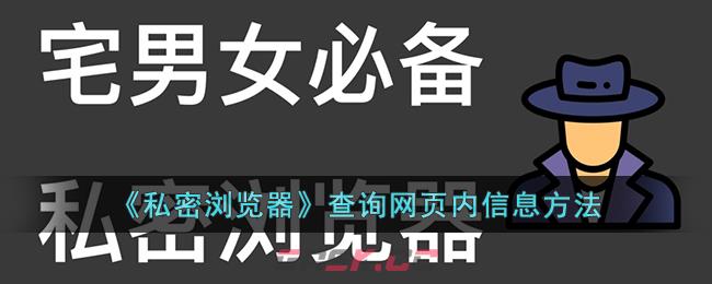 《私密浏览器》查询网页内信息方法