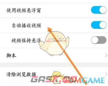 《私密浏览器》自动播放视频设置方法-第4张-手游攻略-GASK