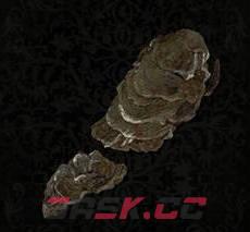 《堕落之主》真菌护臂介绍-第1张-单机攻略-GASK