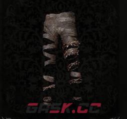 《堕落之主》苦难修女的绑腿介绍-第1张-单机攻略-GASK