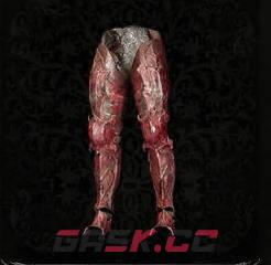 《堕落之主》剥皮者护腿介绍-第1张-单机攻略-GASK