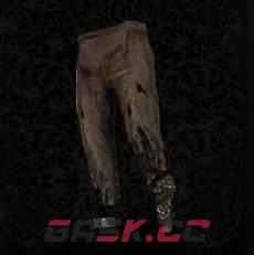 《堕落之主》真菌弓箭手裤子介绍-第1张-单机攻略-GASK
