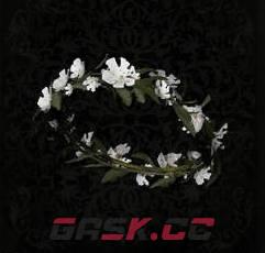 《堕落之主》花冠介绍-第1张-单机攻略-GASK