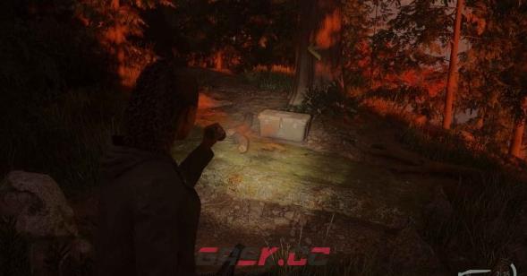 《心灵杀手2》亮瀑镇藏匿物05在哪里-第1张-单机攻略-GASK