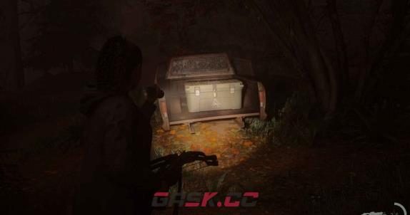 《心灵杀手2》亮瀑镇藏匿物03在哪里-第1张-单机攻略-GASK