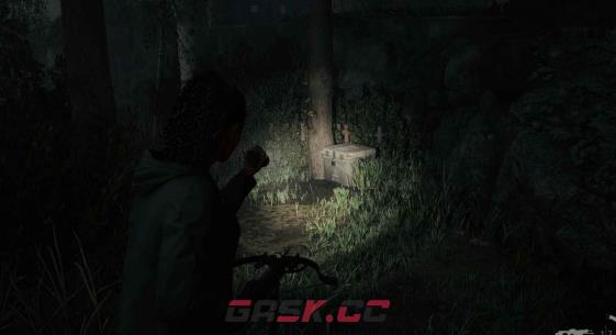 《心灵杀手2》富水镇藏匿物04在哪里-第1张-单机攻略-GASK