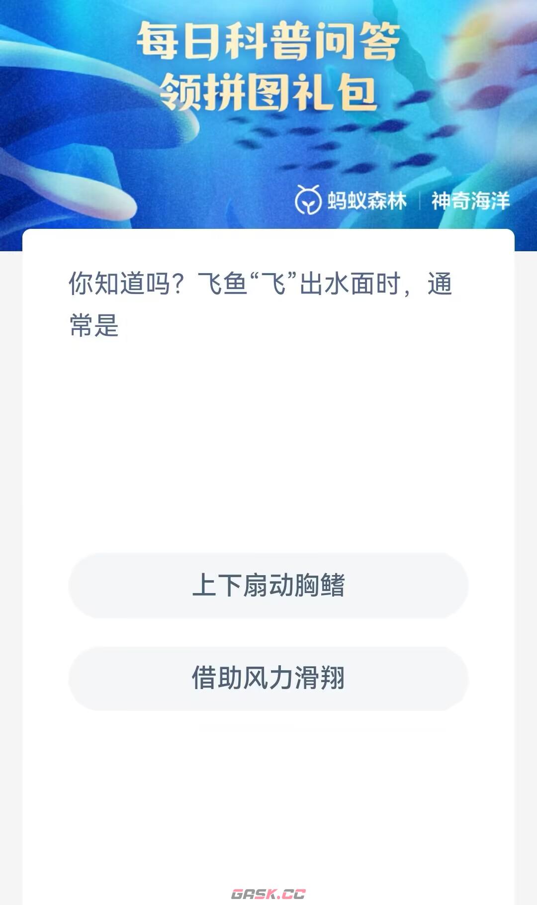 你知道吗飞鱼飞出水面时通常是-第2张-手游攻略-GASK