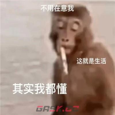 吗喽表情包图片一览-第7张-手游攻略-GASK