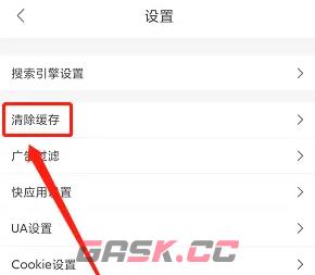 《飞鱼浏览器》清除缓存方法-第4张-手游攻略-GASK