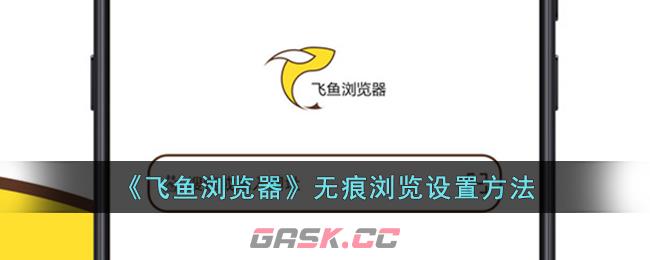 《飞鱼浏览器》无痕浏览设置方法