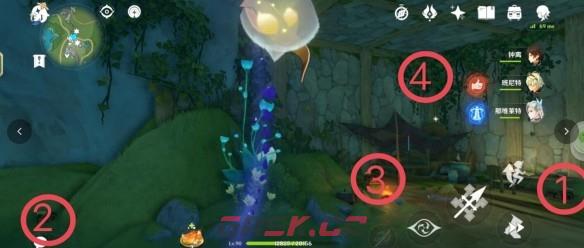 《原神》4.26个幽林枝分布位置一览-第25张-手游攻略-GASK