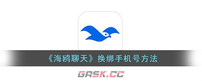 《海鸥聊天》换绑手机号方法-第1张-手游攻略-GASK