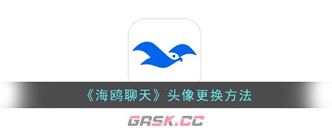 《海鸥聊天》头像更换方法-第1张-手游攻略-GASK