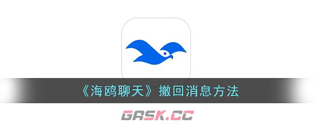 《海鸥聊天》撤回消息方法-第1张-手游攻略-GASK