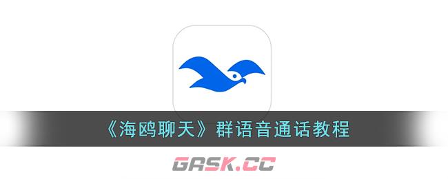 《海鸥聊天》群语音通话教程-第1张-手游攻略-GASK