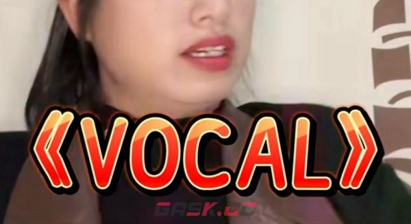 vocal梗意思介绍-第2张-手游攻略-GASK