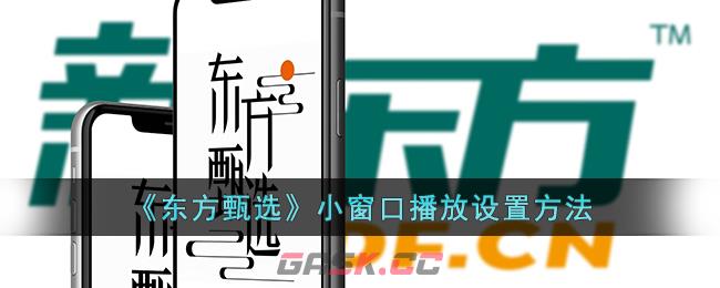 《东方甄选》小窗口播放设置方法-第1张-手游攻略-GASK