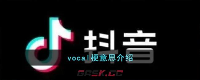 vocal梗意思介绍-第1张-手游攻略-GASK