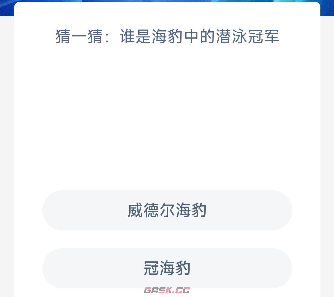 猜一猜谁是海豹中的潜泳冠军-第2张-手游攻略-GASK