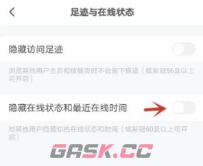 《皮皮陪玩》隐藏在线状态方法-第3张-手游攻略-GASK