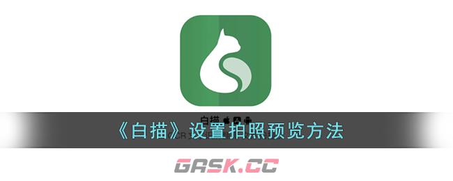 《白描》设置拍照预览方法