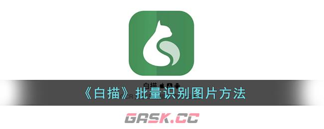 《白描》批量识别图片方法-第1张-手游攻略-GASK