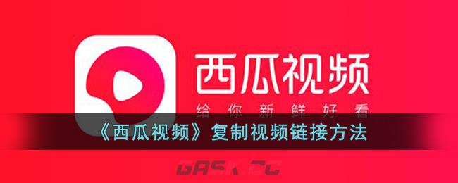 《西瓜视频》复制视频链接方法-第1张-手游攻略-GASK