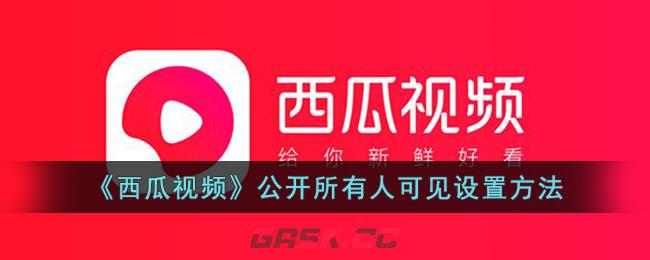 《西瓜视频》公开所有人可见设置方法-第1张-手游攻略-GASK