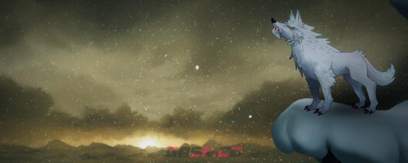 《暖雪》圣物猛虎之印具体效果是什么-第1张-单机攻略-GASK