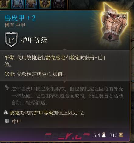 《博德之门3》兽皮甲+2  稀有介绍-第2张-单机攻略-GASK