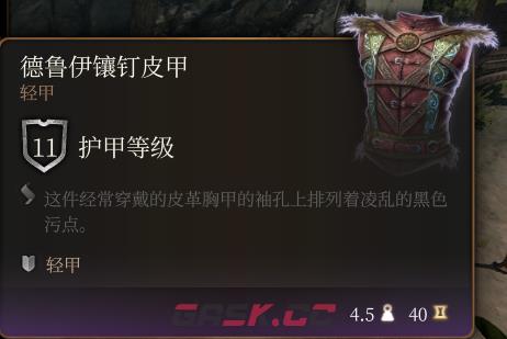 《博德之门3》德鲁伊镶钉皮甲介绍-第2张-单机攻略-GASK