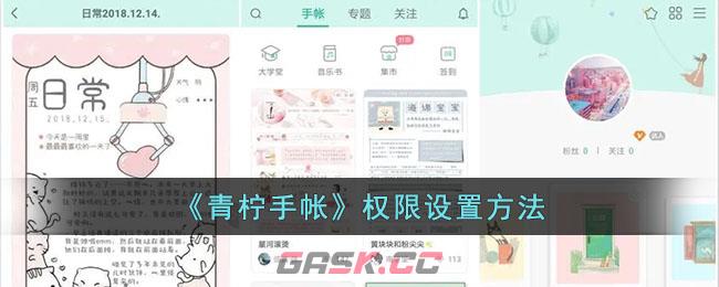 《青柠手帐》权限设置方法-第1张-手游攻略-GASK