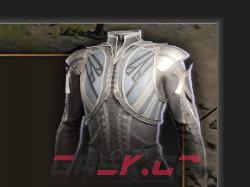 《博德之门3》塞伦涅信徒长袍介绍-第1张-单机攻略-GASK