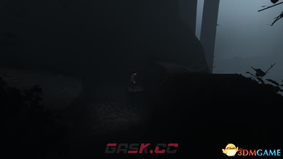 《内部inside》 全流程全收集图文攻略 通关玩法流程介绍-第9张-单机攻略-GASK